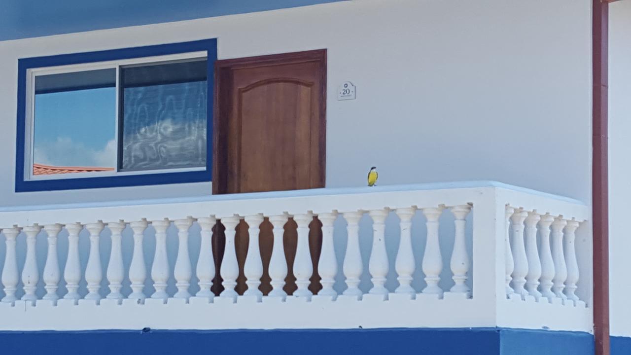 Hotel Grosseto Palma Real Loma Экстерьер фото